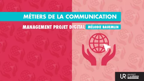 certificat management de projet digital